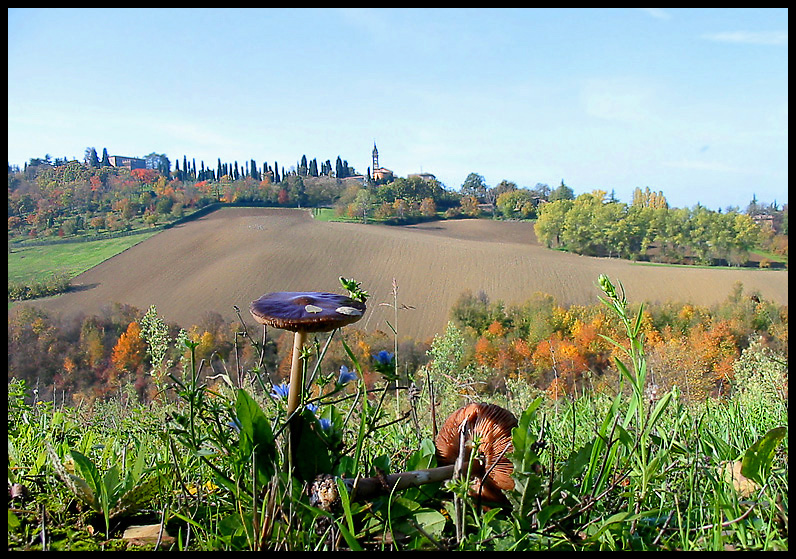 appennino reggiano